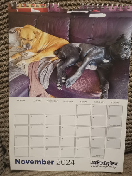 Large Breed Dog Rescue 2024 Calendar