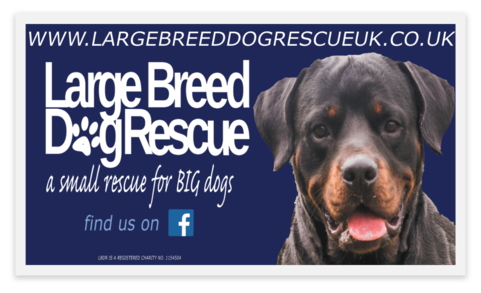 LBDR Stickers
