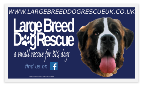 LBDR Stickers