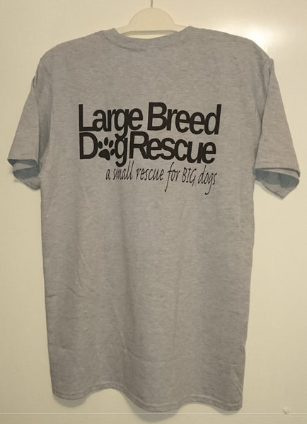 LBDR T-shirt (Grey)