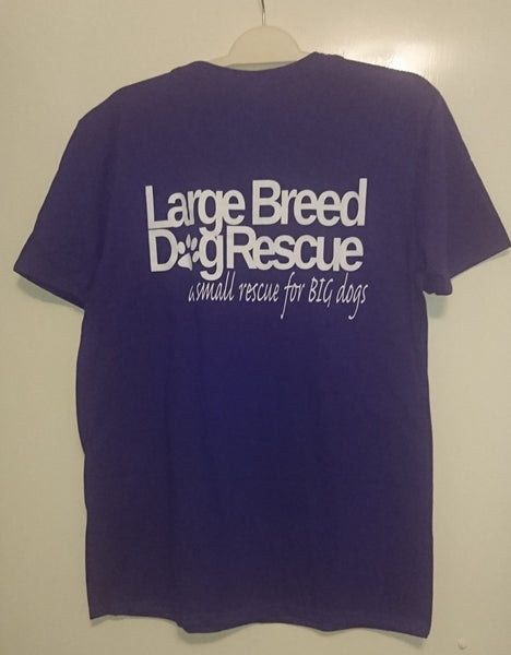 LBDR T-shirt (Purple)