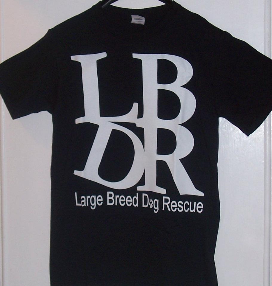 LBDR T-Shirt (Black)
